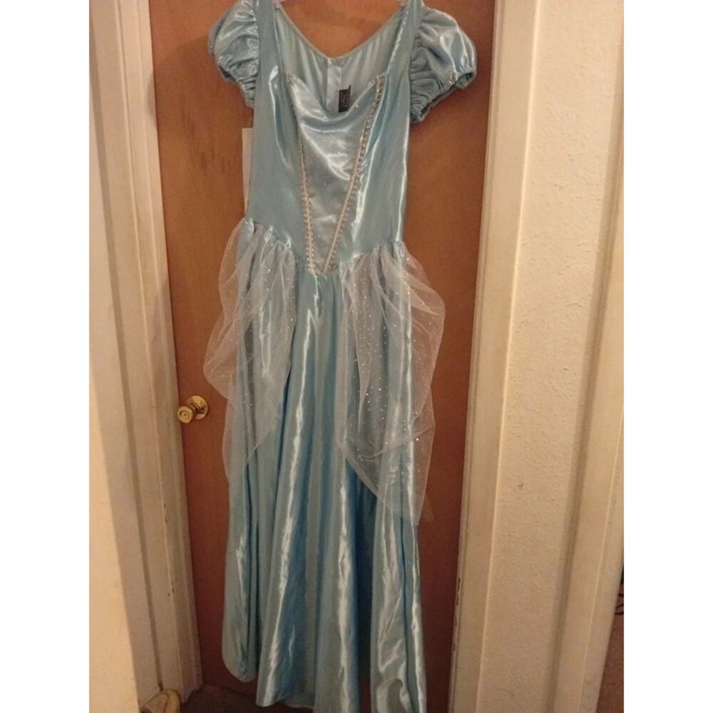 Ladies size L Leg Avenue Disney Cinderella dress